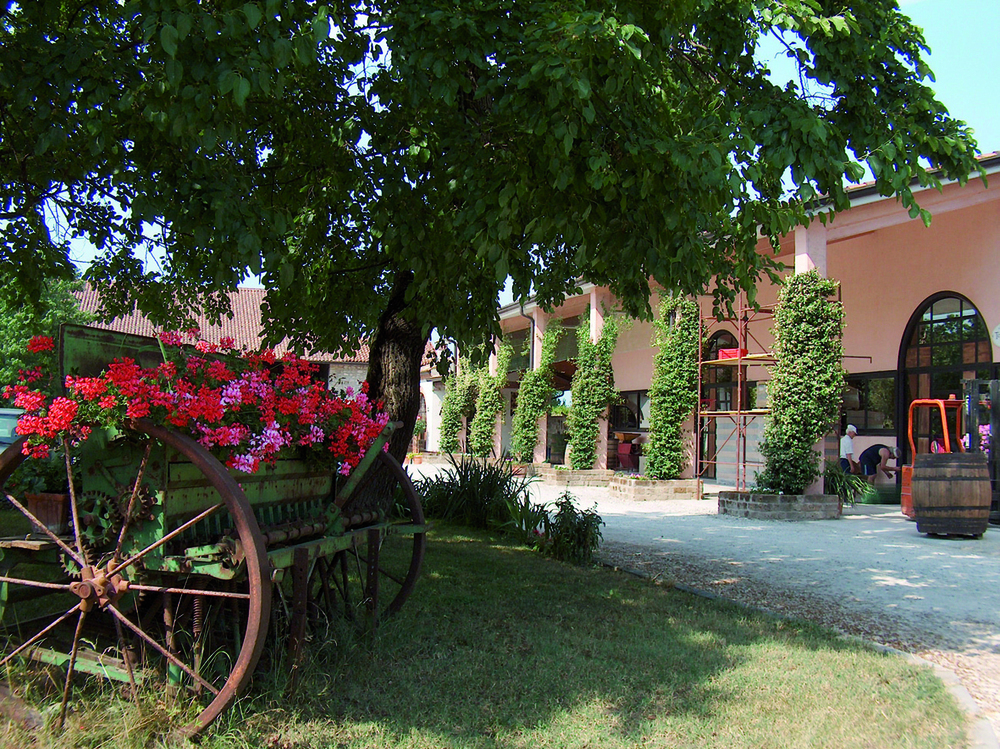 Lugana DOC,  Limne,  Tenuta Roveglia 6x0,75 (EINWEG)