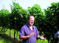 Lugana DOC,  Limne,  Tenuta Roveglia 6x0,75 (EINWEG)